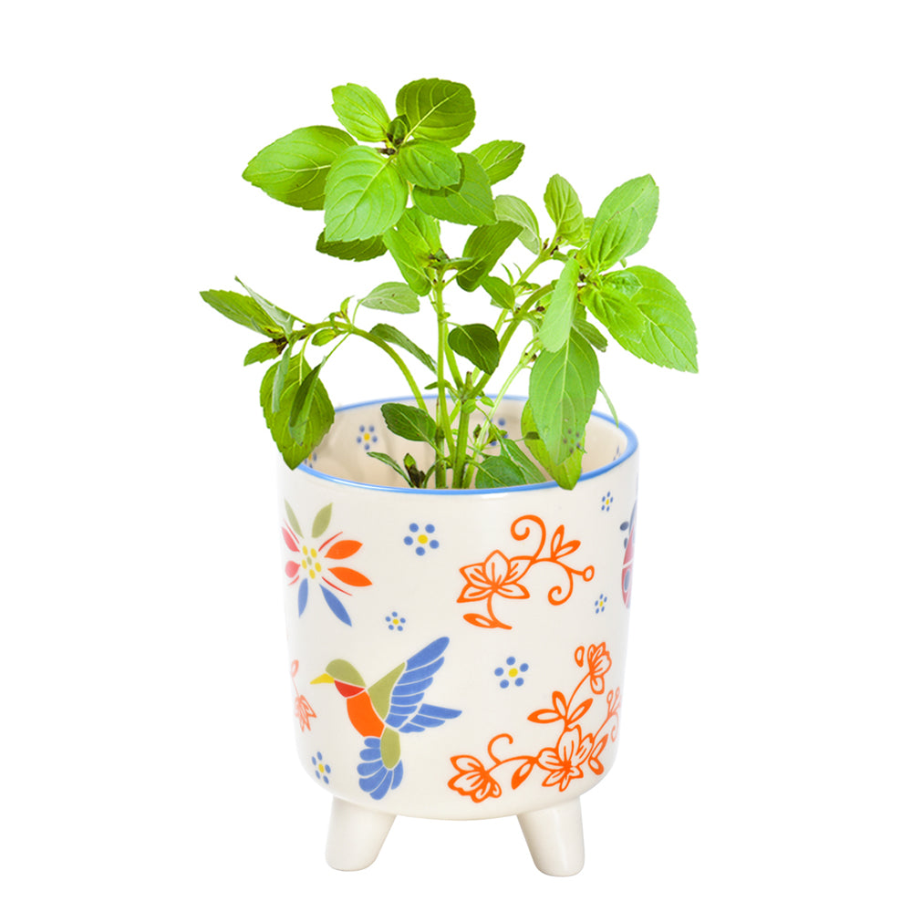 16oz Ceramic Flower Pot-Garden