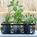 Temp-tations Metal Serving & Organizing Basket with Stoneware Trivet, shown outdoors filled with small pots of fresh herbs