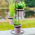 Temp-tations Woodland 3 Pots with Display Stand Set Outdoors on table with small herb plants