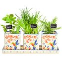 Planters with Tray, Set of 3-Garden