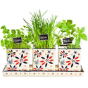 Planters with Tray, Set of 3-Patriotic